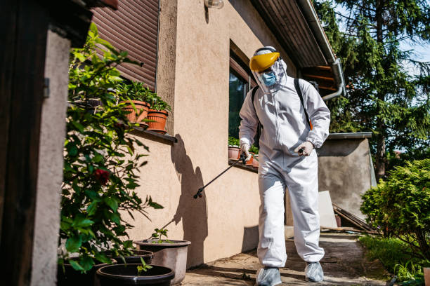Best Flea Control Services  in Arma, KS