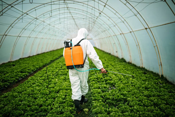 Best Affordable Pest Control Services  in Arma, KS