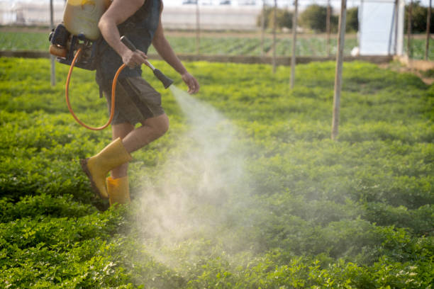 Best Best Pest Control Companies  in Arma, KS
