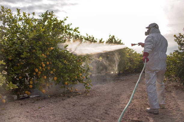 Trusted Arma, KS Pest Control Experts