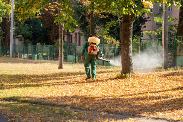 Best Mosquito Control Services  in Arma, KS
