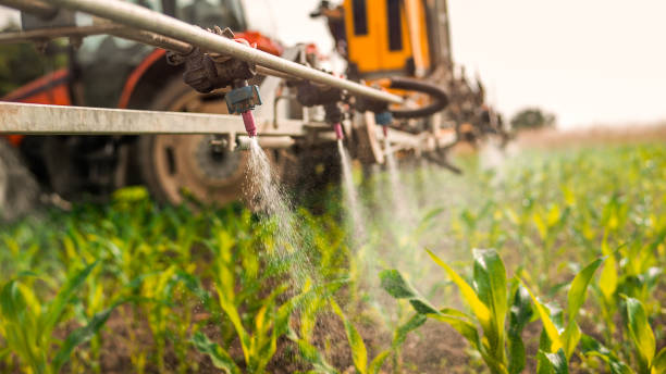 Best Local Pest Control Services  in Arma, KS